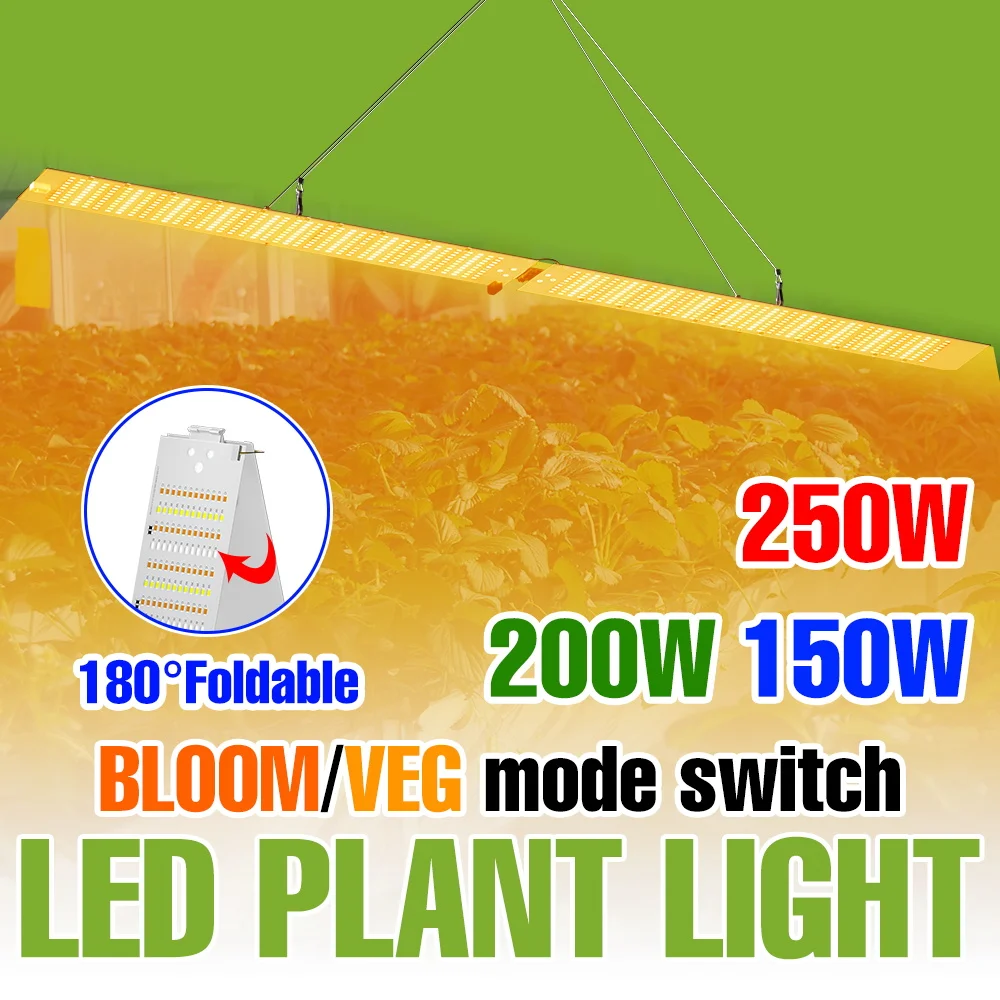 250-ワット-led-量子ボード植物ランプフルスペクトル成長ライト屋内鉢植えの花成長ボックス水耕栽培照明用