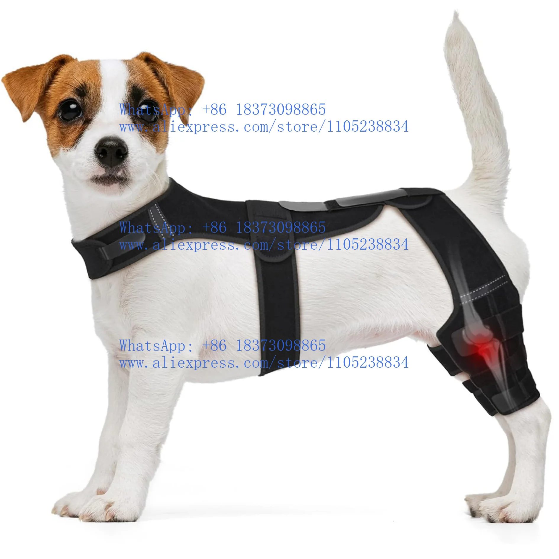 3Pcs Pet Protector Dog Hindleg Injury Assist with Dog Knee Pads Rehabilitation Postoperative Leg Pads