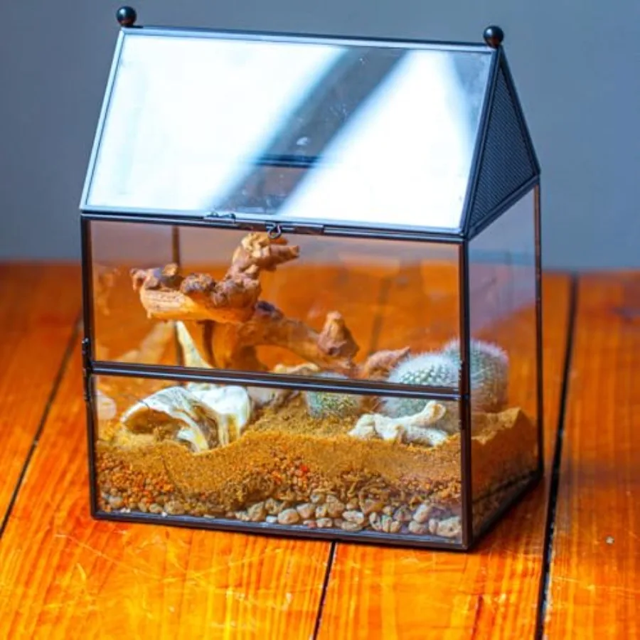 

Glass Enclosure with Vent Holes for Small Insect Jumping Spiders Mantis - Front Opening Door House Shape Vented Glass Terrarium