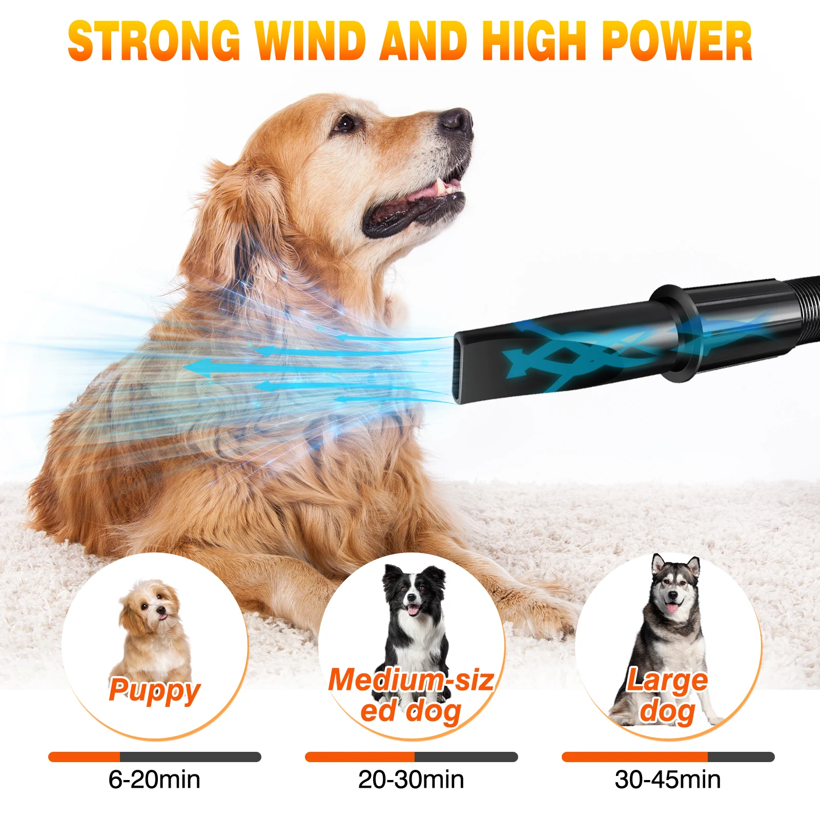 Secador de Pelo para Perros de Alta Velocidad 3500W, Secador Soplador para Peluquería Canina, Secador de Pelo para Perros Muy Silencioso, Secador de Pelo para Mascotas con 4 Boquillas y Manguera, Velocidad y Temperatura Ajustables, Secador para Mascotas, Perros, Negro