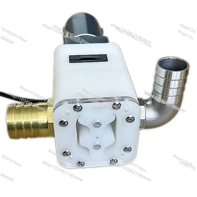 Viscous Liquid Transfer Pump - Food Grade for Honey, Nut Butters & Filling Lines