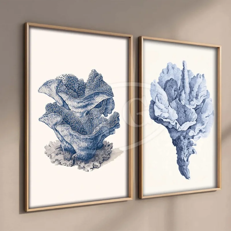 Sketch Fossil Fish Turtle Snail Star Tree Vintage Wall Art Mural Canvas Painting Nordic Posters Wall Pictures Kawaii Home Deco - Image 2