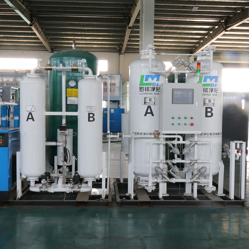 PSA Nitrogen Generator Protect Fruits and Vegetables for Food Packaging N2 Generators