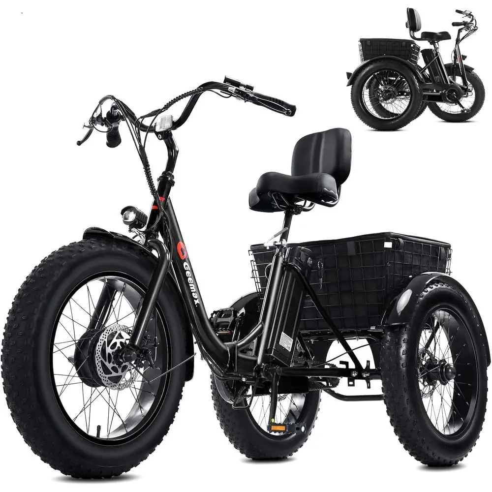 

20 Adult Electric Tricycle, 750W Peak, 25MPH, 36V 13Ah Li-ion Battery, 80% Assembled