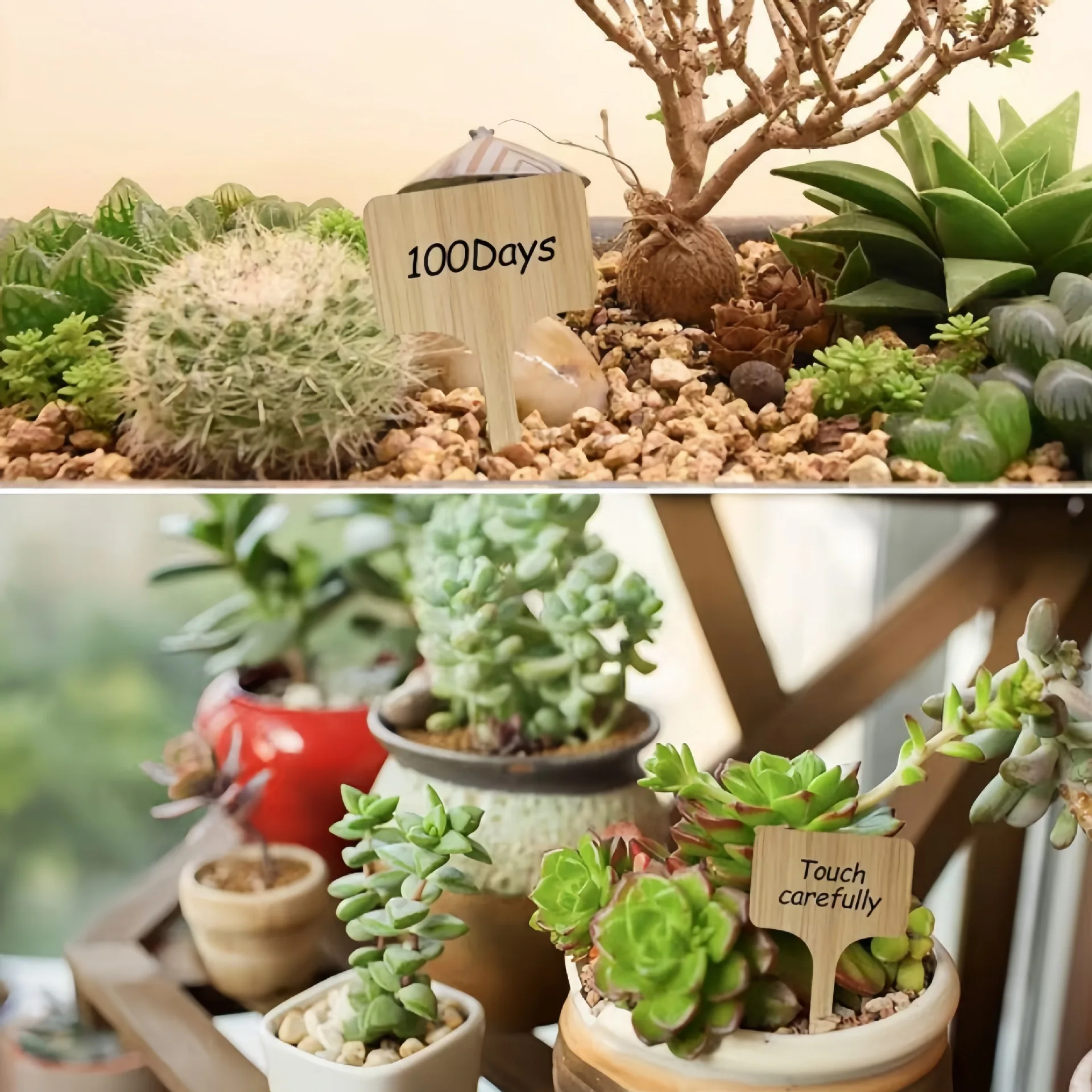 

50pcs 10cm Butterfly Shape Bamboo Plant Markers Eco-Friendly Wooden Tags for Garden & Nursery