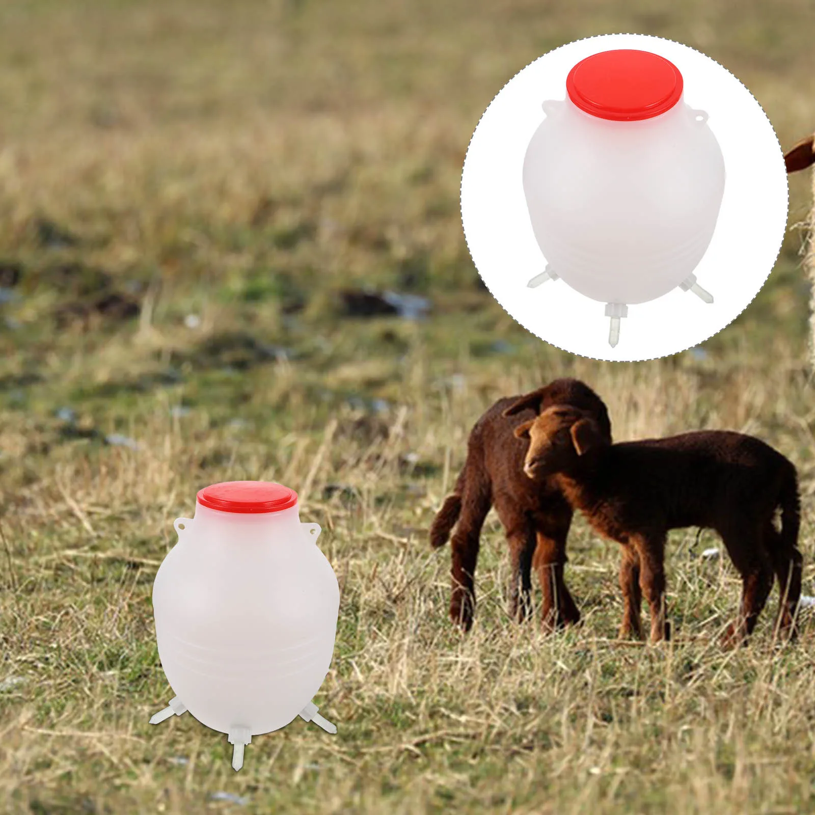 

The Animals Calf Bottle Milk Lamb Feeder Goat Bottles White Feeding for Lambs