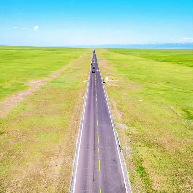 Mallas elásticas de terciopelo para mujer, mallas cálidas de cintura alta, informales, gruesas, para invierno