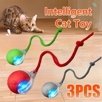 Cat Interactive Ball Toy Automatic Rolling Ball Faux Tail Rechargeable Pet Electric Toy Dog Cat Training Imitate Mouse Products