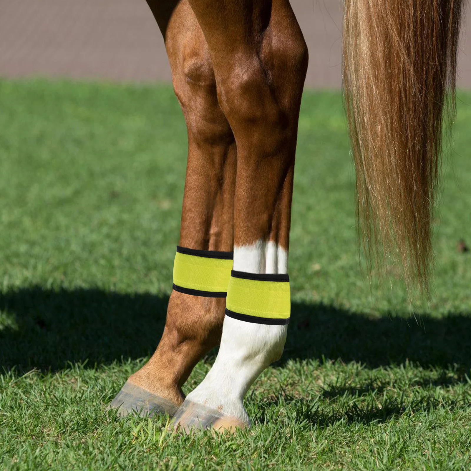 

4 Pcs Horse Accessories Bright LED Straps Halloween Tack Glow Leg Equipment Glowing Collar