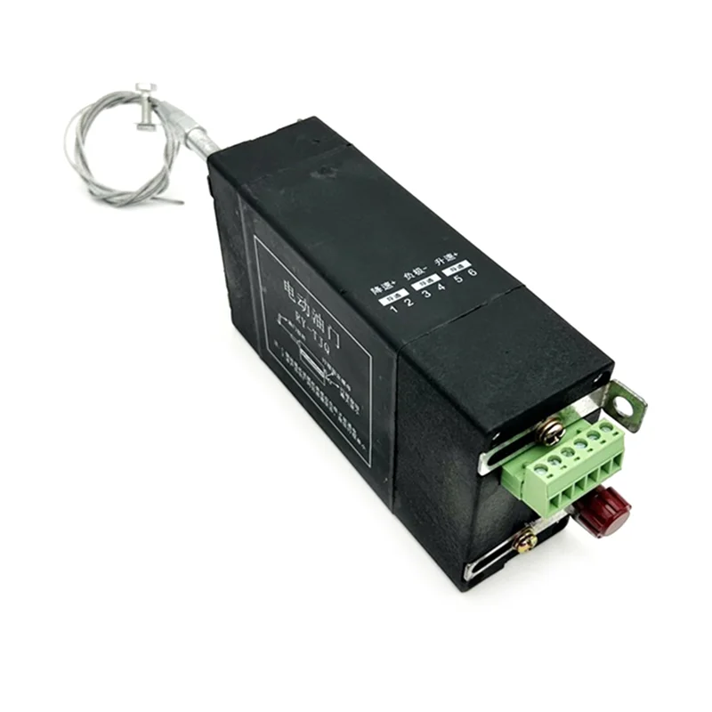 24V RYTJQ 전기 모드 전기 스로틀 컨트롤러 엔진 전자 장치