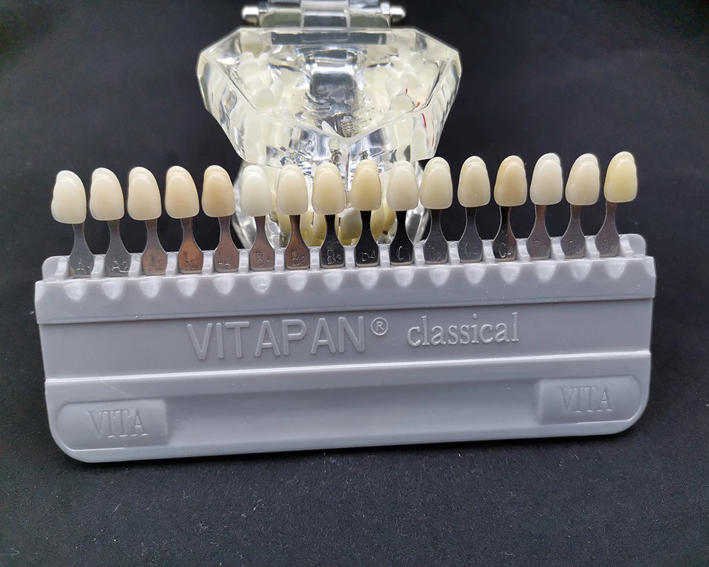 Resin Dental Tooth Shade Guide 16 Colors Colorimetric Plate for Teeth Whitening and Restorative Shade Matching