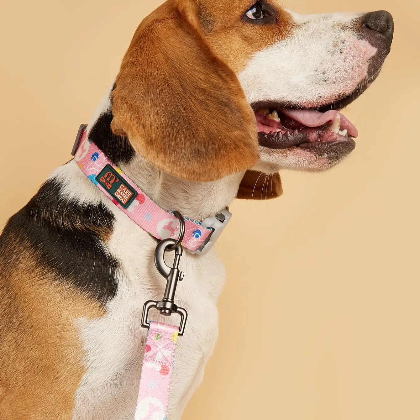 Pink Color Bone Pattern Print Designer High Quality Accessories Pet Collar With Leashes Set