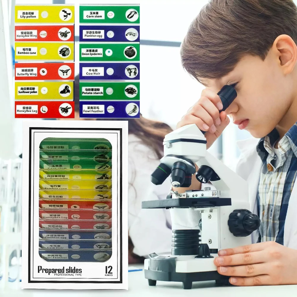 Outdoor Pocket Microscope for Kids LED Light Battery Powered Handheld Microscope 60x-120x Biological Science Educational Toys