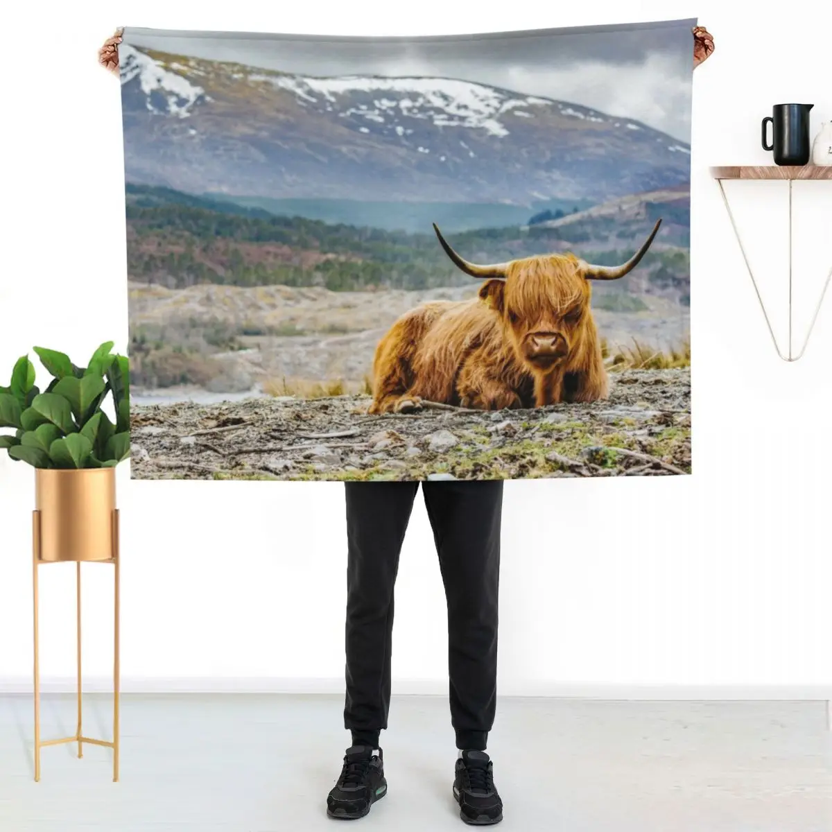

Hairy Higland Cow - A cute and gift for a Scotland lover Throw Blanket Plush Fuzzy Cozy Blanket for Couch Sofa