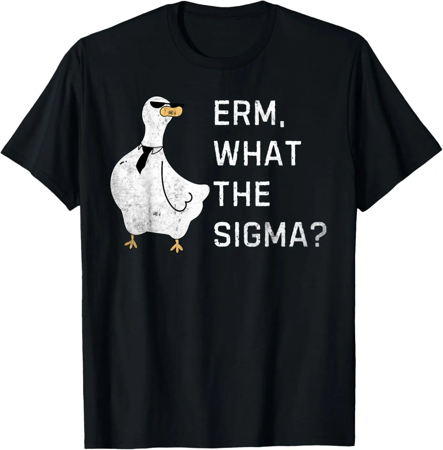 Erm What the Sigma Funny meme Sigma T-Shirt