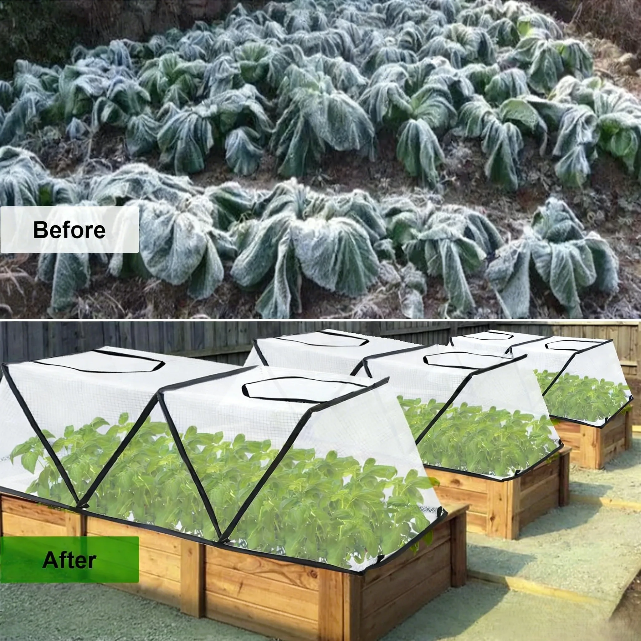 Foldable Garden Plant Cover with Metal Frame and Air Holes Providing Continuous Protection Against Bugs and Frost