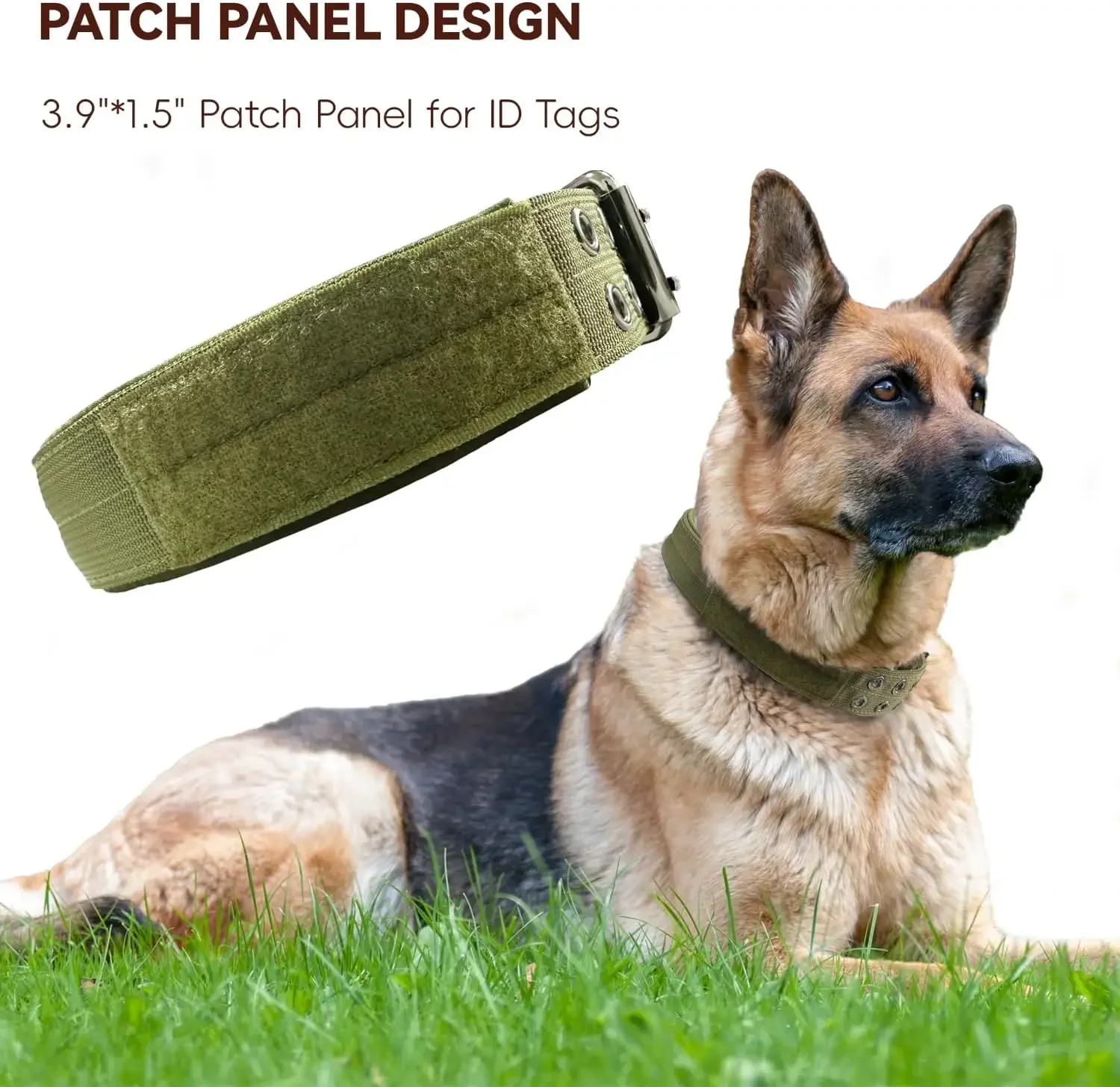 

Heavy Duty Dog Collar for Large Dogs Collars with Metal Buckle D Ring, 1.5" Width Thick Adjustable Nylon Collar for Medium Dogs