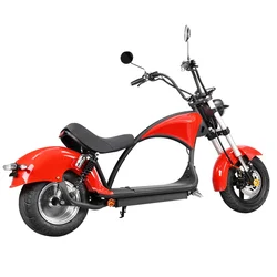 Citycoco-Scooter électrique à 2 roues 2000W, moto avec batterie 60V 20Ah, certifié CEE COC