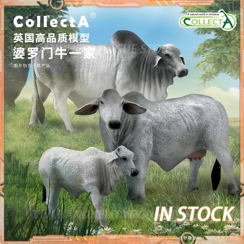 CollectA - Modelo de animal auténtico de Toro Brahman con licencia oficial, 88579, juguete educativo para niños, tamaño 14 cm x 9 cm
