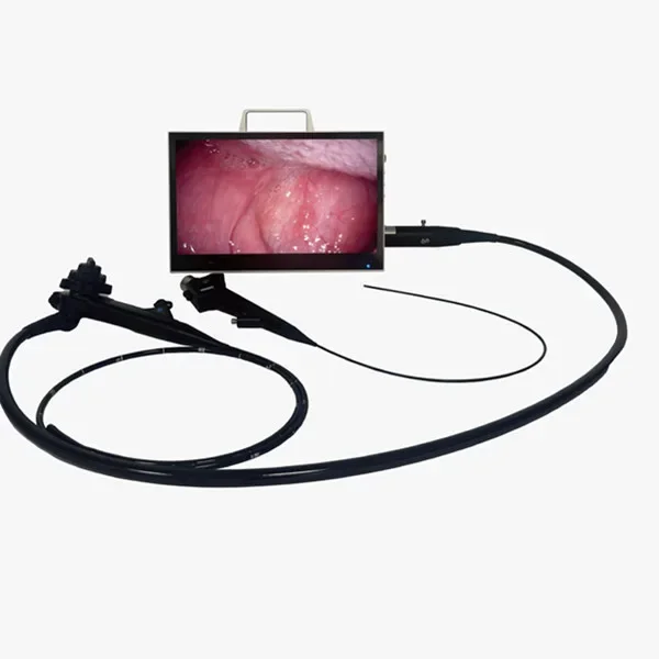 

Full Medical HD Veterinary Horse /Dog/Cow Endoscope equipment flexible endoscope veterinary use