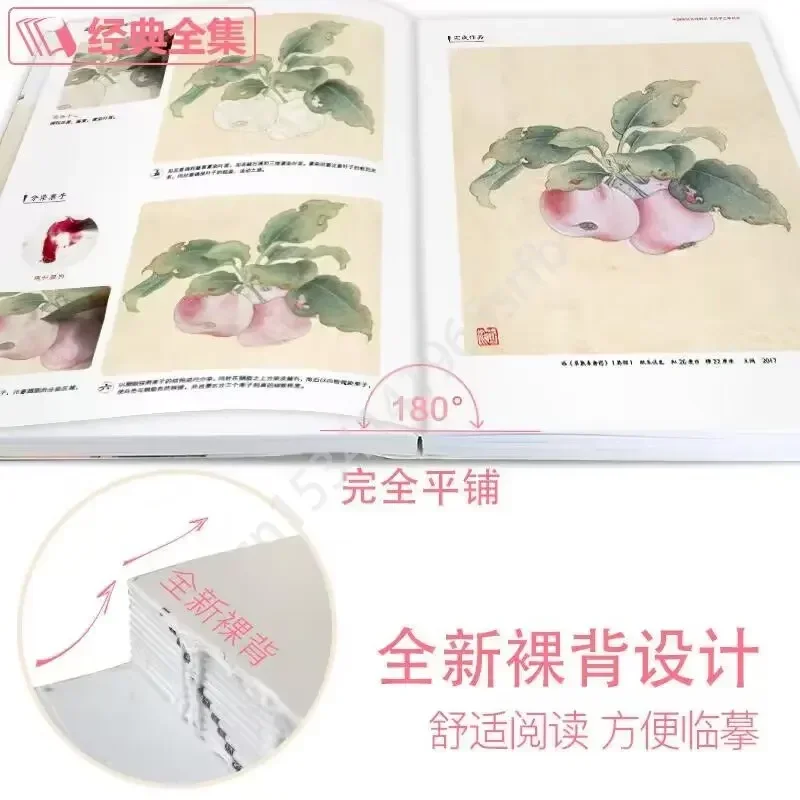 New Meticulous Birds and Flowers Techniques Getting Started Basic Tutorials Books Chinese Gongbi Paintings Colored Peony