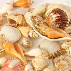 18 Pcs Natural Shell Pendants For Diy Jewelry Making - Assorted Seashell Charms For Necklaces, Bracelets, Earrings