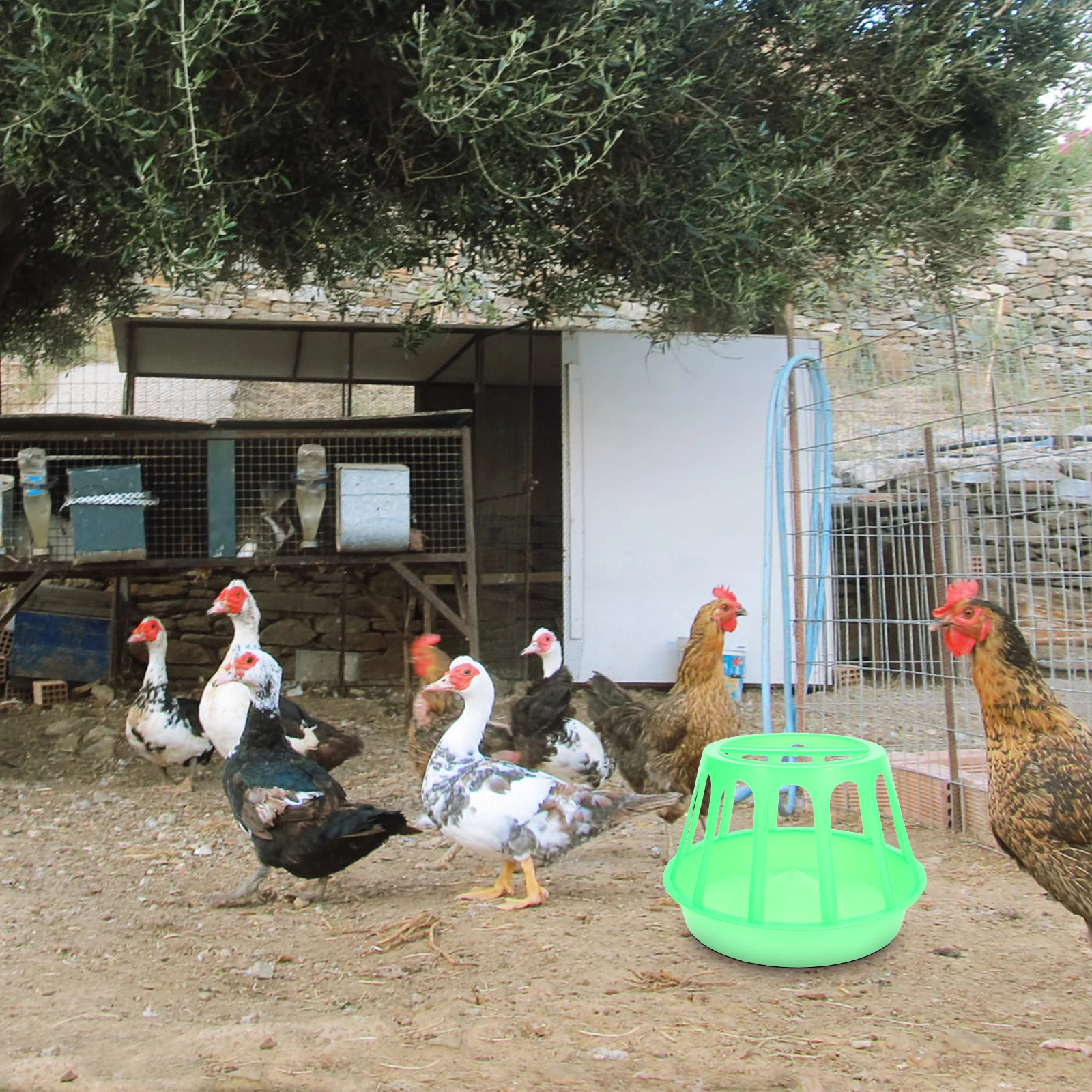 

Large Poultry Feeding Trough Chicken Container Green Bucket Durable Anti Spill Design Suitable Chickens Easy Cleaning Outdoor