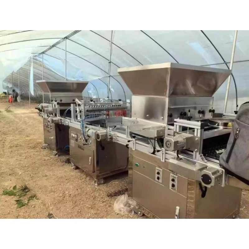 Fully Automatic High Productivity Tray Seedling Maize Seeds Planting Machine Planter Corn Seeder