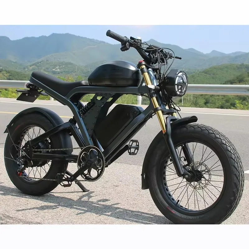 

Electric Bicycles for Adults CE Electric Dirt Bike 1500W 52V 55Ah Fatbike High-power Electric Bikes Ebike for Sale