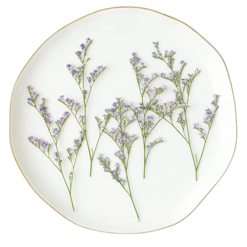 24 Stück/9–12 cm, Naturliebhaber, Gras, getrocknete Blumen, DIY-Grußkarte, Fotorahmen, Kleber, Handyhülle, handgefertigtes Lesezeichen, Maniküre-Material – Detail 6