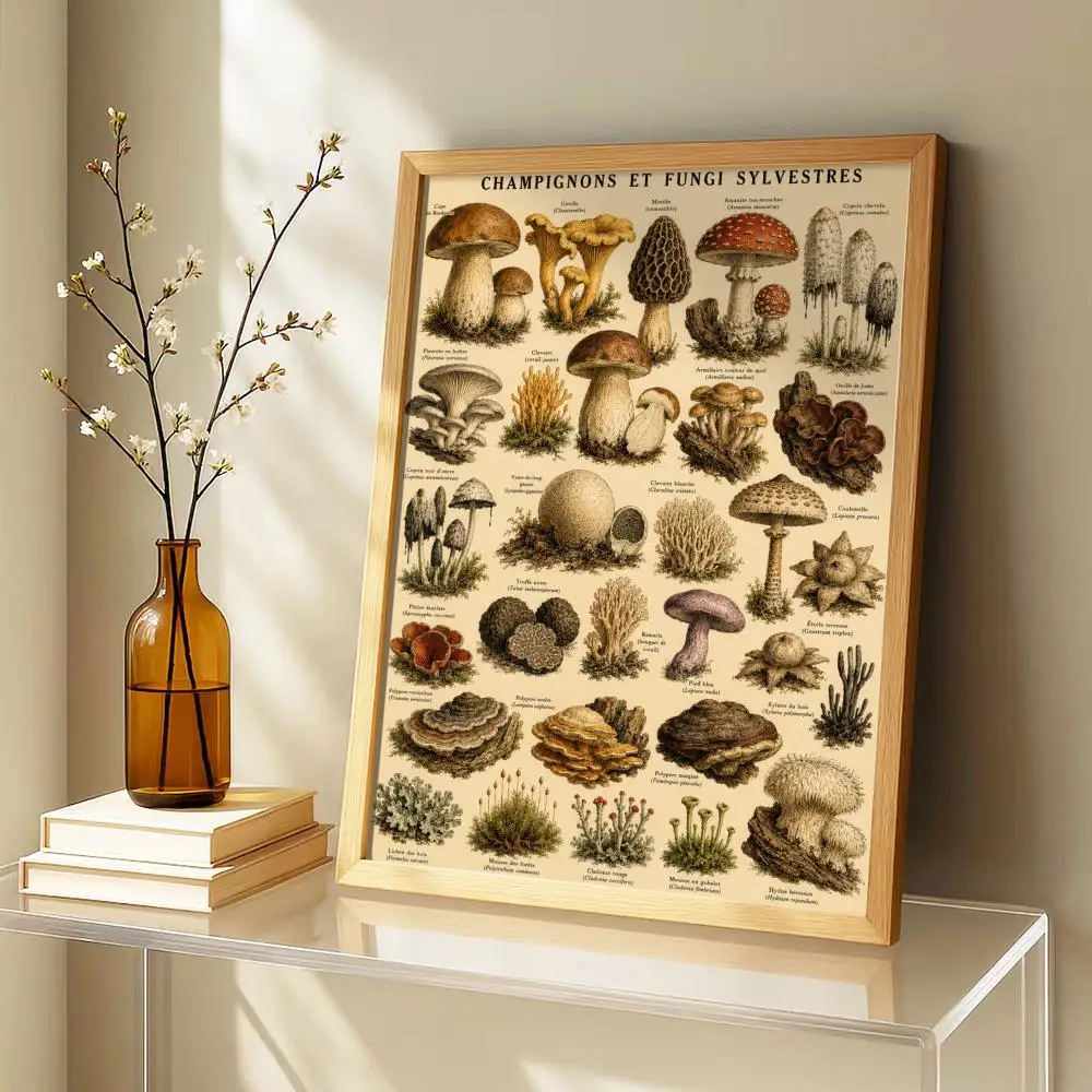 Affiche sur toile vintage d'histoire naturelle, peinture botanique et calligraphie, pour chambre à coucher, salon, décoration murale, cadeau