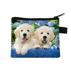 Golden Retriever-bolsas de monedas de Labrador Pomerania para mujer, cartera bonita para perro, soporte para auriculares y tarjetas de crédito, monedero para mujer, bolsa de servilletas sanitarias