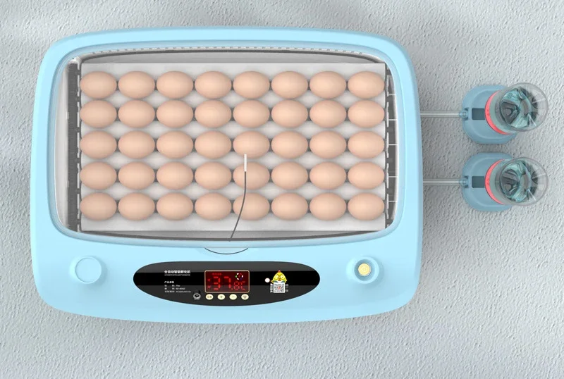 Automatic intelligent incubator Small household Egg Chicken, duck and goose egg