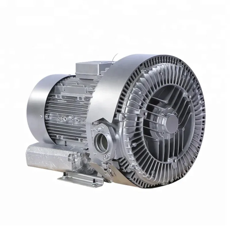 

Pure copper motor 220V 50HZ annular 1 vortex blower for fish/imp pond oxygen
