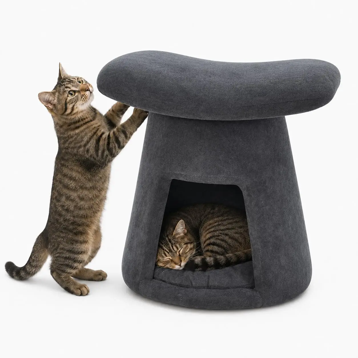 2-in-1 Cat House Ottoman, Ultra-Soft Plush Pet Condo Hideaway with Padded Mat, Modern Multi-Functional Footrest for