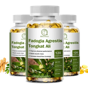 BBEEAAUU สารสกัดจากพืชแคปซูล Fadogia Agrestis Extract สําหรับชายสุขภาพภูมิคุ้มกัน,ความเมื่อยล้าอารมณ์,กระตุ้น & Energy Support