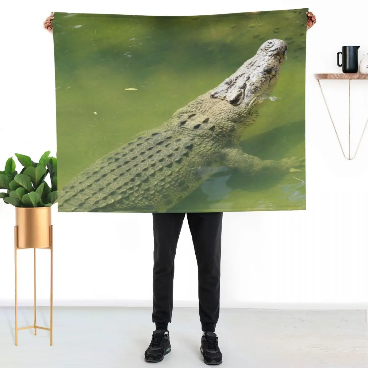 Australian saltwater crocodile Throw Blanket Luxury Designer halloween for babies anime wednesday Shaggy Blankets