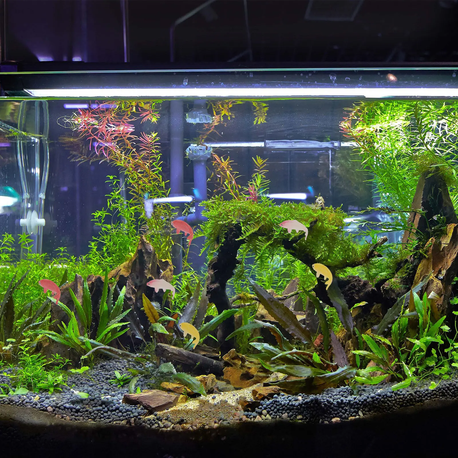 10 pièces de décorations de po - Aquarium Fish Koi avis et prix