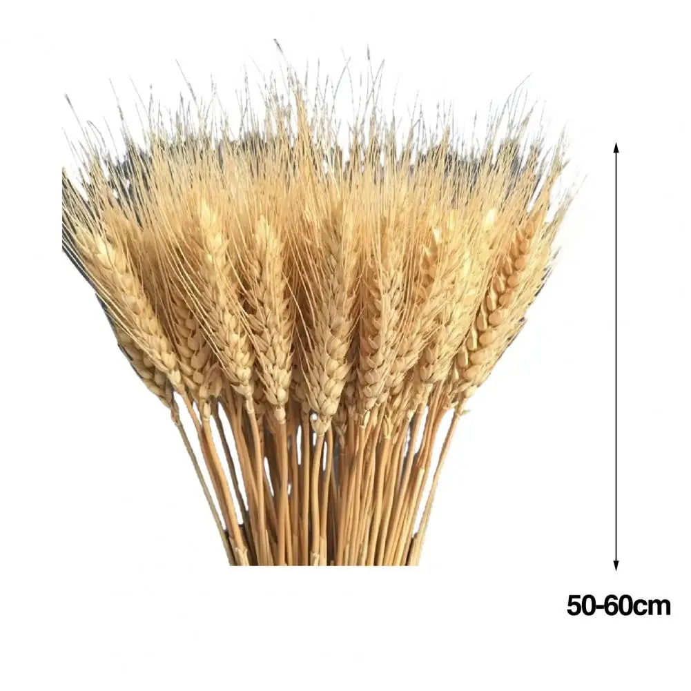 100 Pcs 50cm-60cm Artificial Wheat Ear With Stem Realistic Wedding Photo Props Indoor Home Office Garden Decor Faux Plant Kit