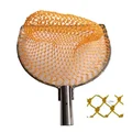 B single ring Orange