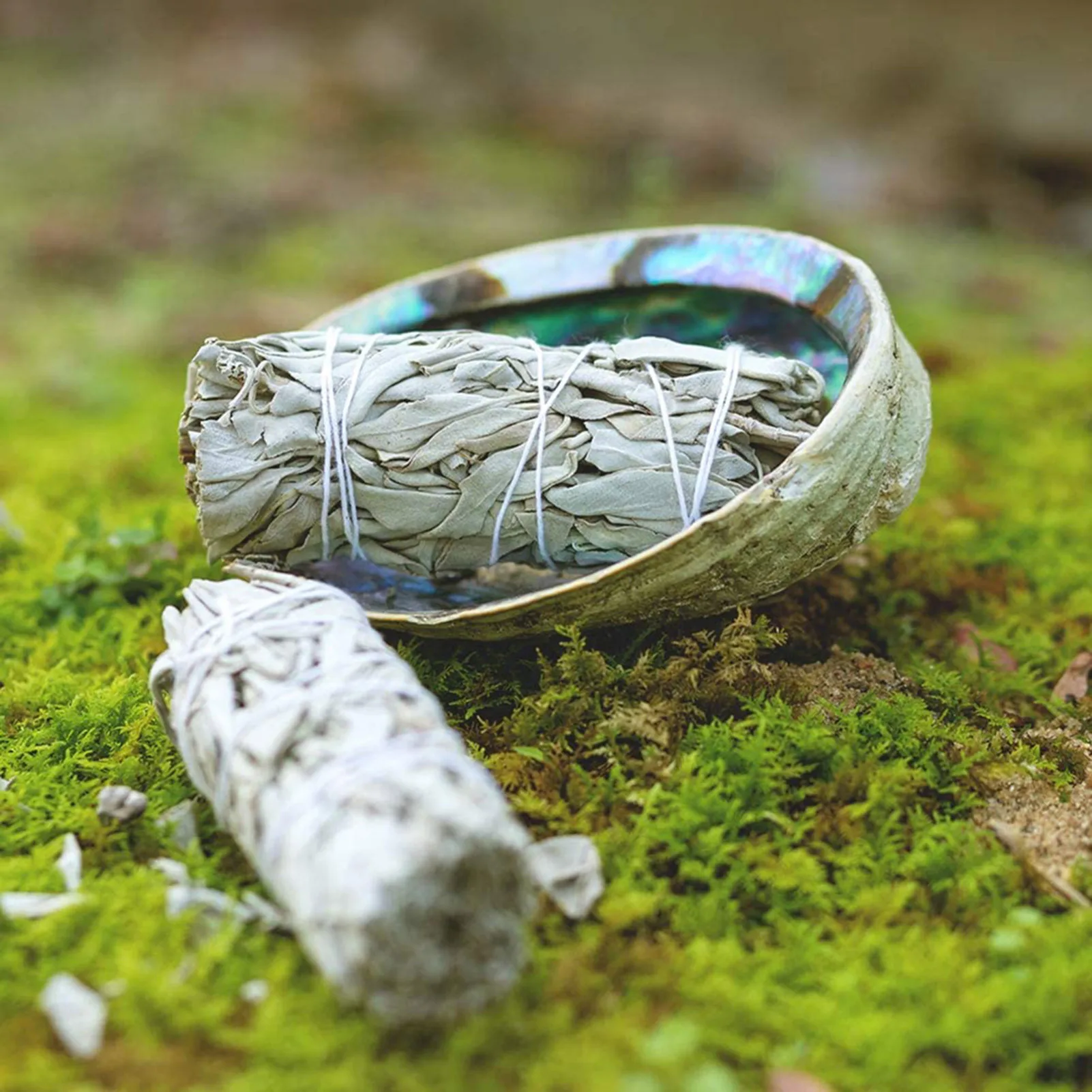 White Sage Bundles | Hand-Tied Sage Leaf Sticks | Sustainably Grown Sage Bundles for Home Cleansing,