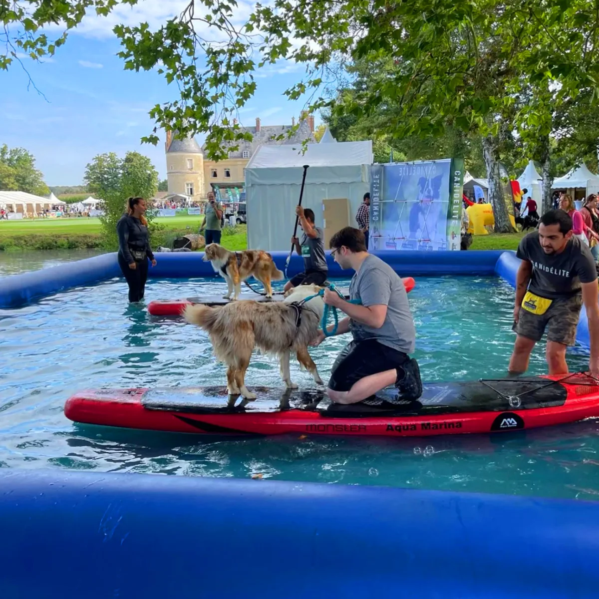 حار بيع كبير PVC الحيوانات الأليفة Airblow المياه بركة داخلي في الهواء الطلق الكلب حمام سباحة قابل للنفخ لفصل الصيف