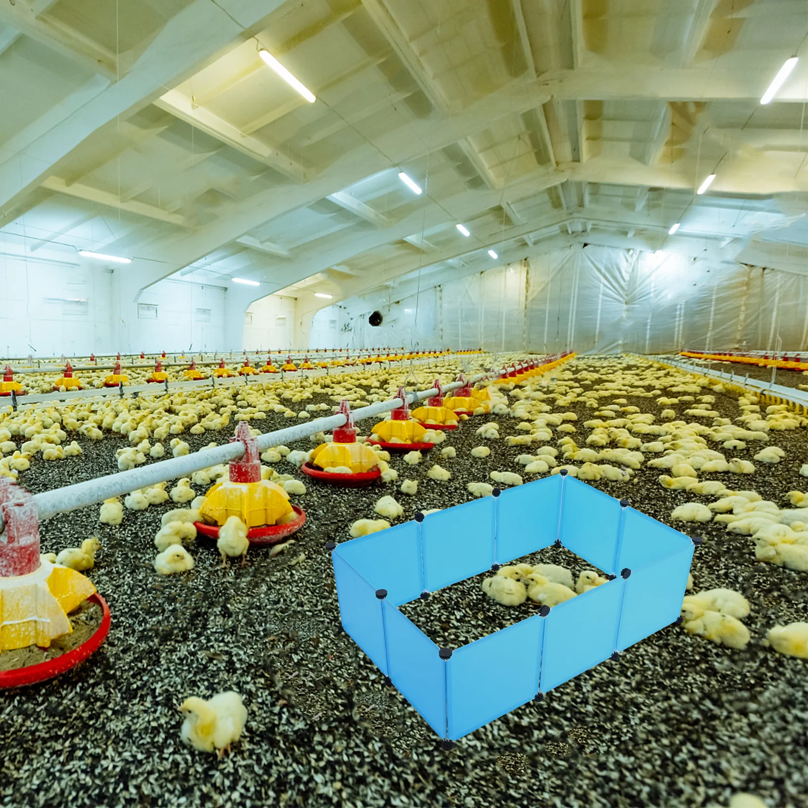 

1 set 1 Set Diy Brooder Box Fence Small Pet Playpen Hamster Rabbit Guinea Pig Enclosure Indoor Outdoor Exercise Panel