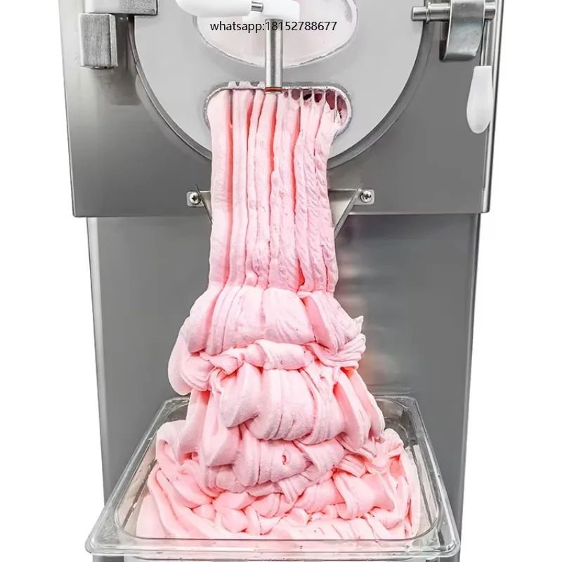 Program  Portable Snack Acai Machine  Hard Ice Cream Batch Freezer Machine