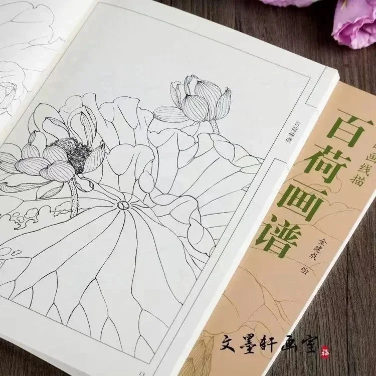 Chinese Painting Book Hundred Lotus Flowers Drawing Line Collection Art Book Relaxation and Anti-Stress Material