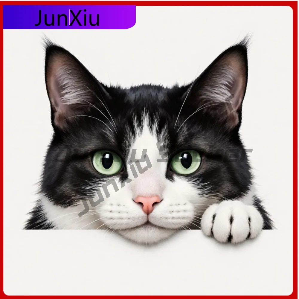 

Black & White Cat Vinyl Decal Curious with Green Eyes Pink Nose Self-Adhesive Waterproof Sticker for Funn Car Laptop Wi