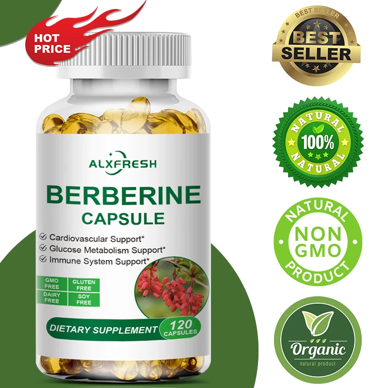 Berberine Capsules Support Oral Inflammation Intestinal Infection Blood Sugar Lipid Regulation Cardiovascular and Antioxidant