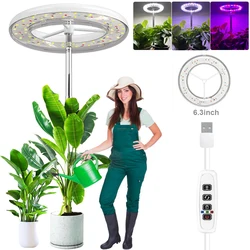 Altura ajustável LED Planta crescer luz, espectro completo, vermelho, azul, altura crescente lâmpada, haste telescópica e temporizador