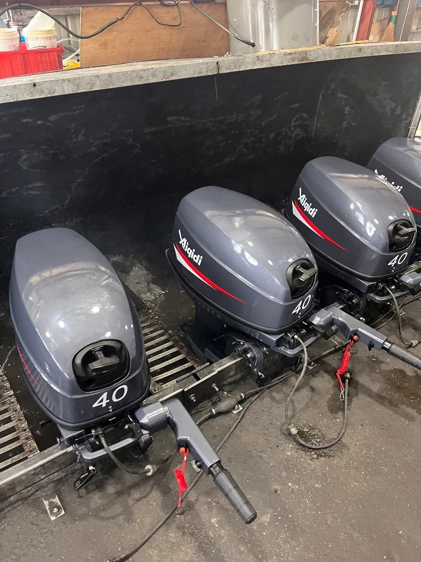 Low-Fuel-Consumption 40HP Optional Power Tilt Boat Engine for Inflatables