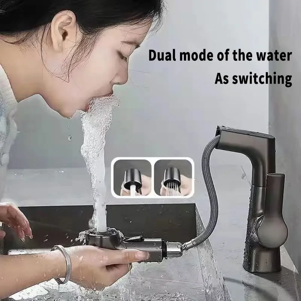 Pull Out Lift Kitchen Faucet 360° Rotatable Splashproof Basin Faucet Stainless Steel Kitchen Sink Faucet with Pull Down Sprayer